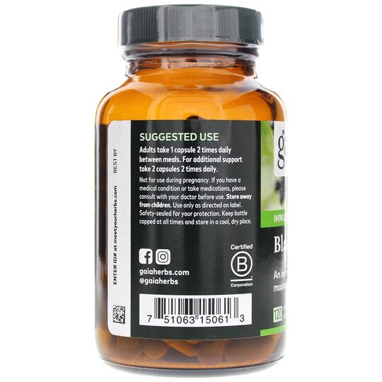Black Elderberry, GH